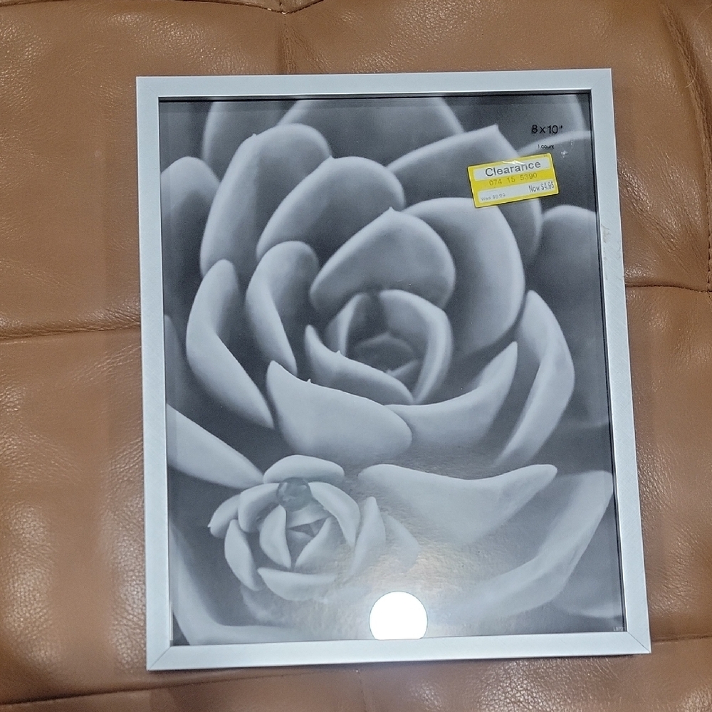 Gray Floral Wall Art in White Frame